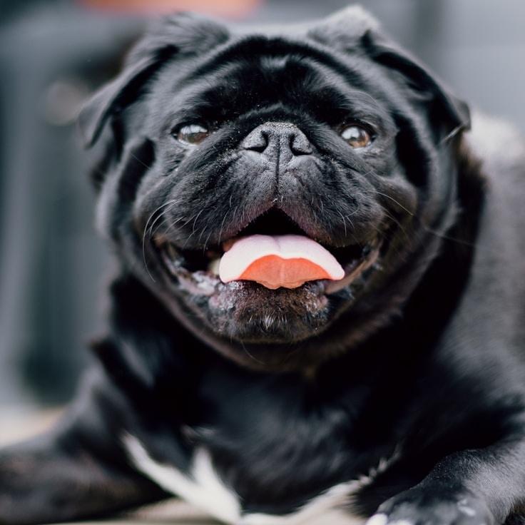 Jai Shah testimonial