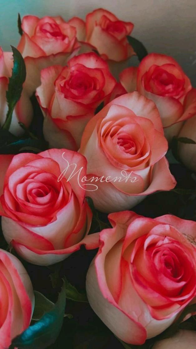 Corporate meeting room with carefully timed floral arrangements that maintain elegance throughout business hours